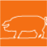 pig.gif